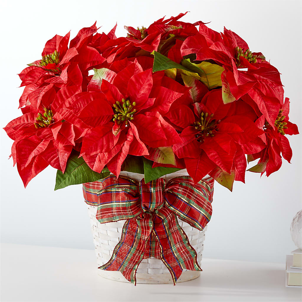 Happiest Holidays Poinsettia – Attitudes-n-designs, Houma LA