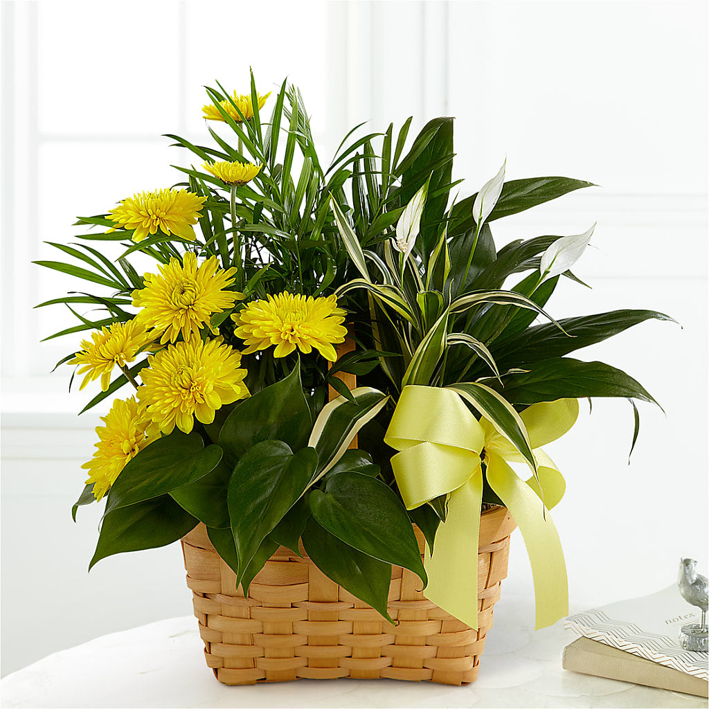 Loving Light Dishgarden – Attitudes-n-designs, Houma LA