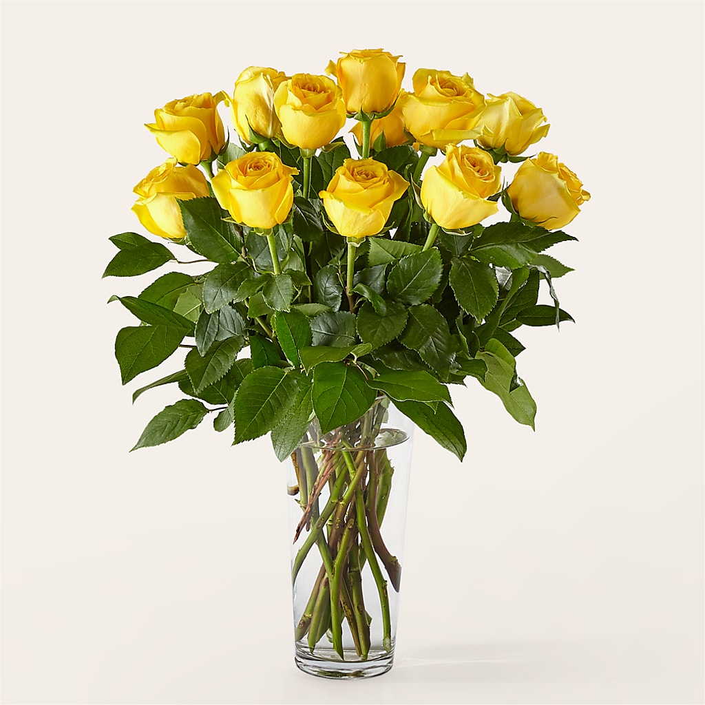 Long Stem Yellow Rose Bouquet – Attitudes-n-designs, Houma LA