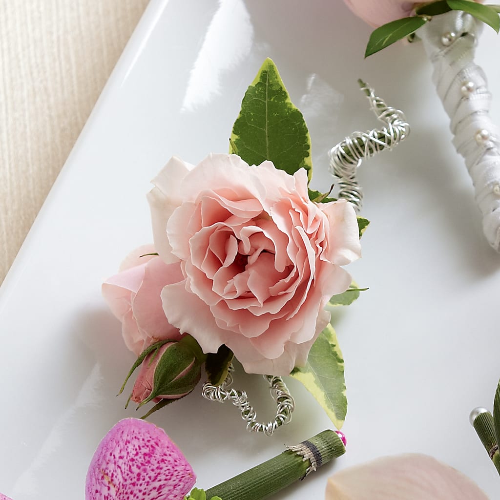 Pink Spray Rose Boutonniere – Attitudes-n-designs, Houma LA