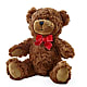 Adorable Plush Bear –  Attitudes-n-designs, Houma LA