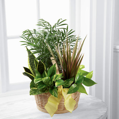 French Garden –  Attitudes-n-designs, Houma LA