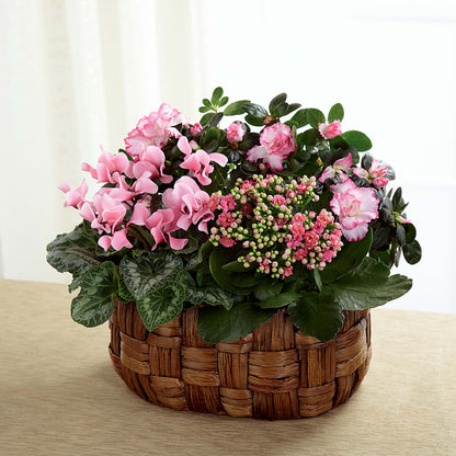 Pink Assortment –  Attitudes-n-designs, Houma LA