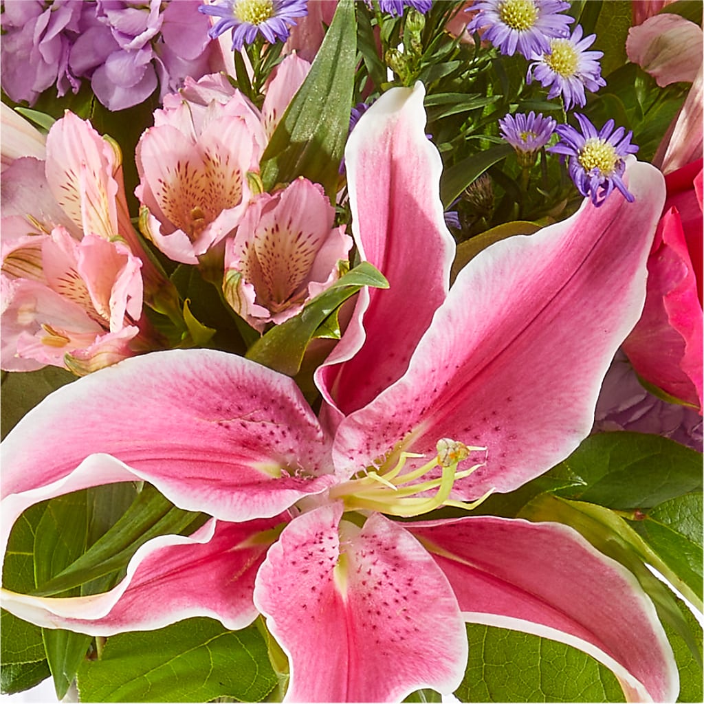 Written in the Stars Bouquet –  Attitudes-n-designs, Houma LA