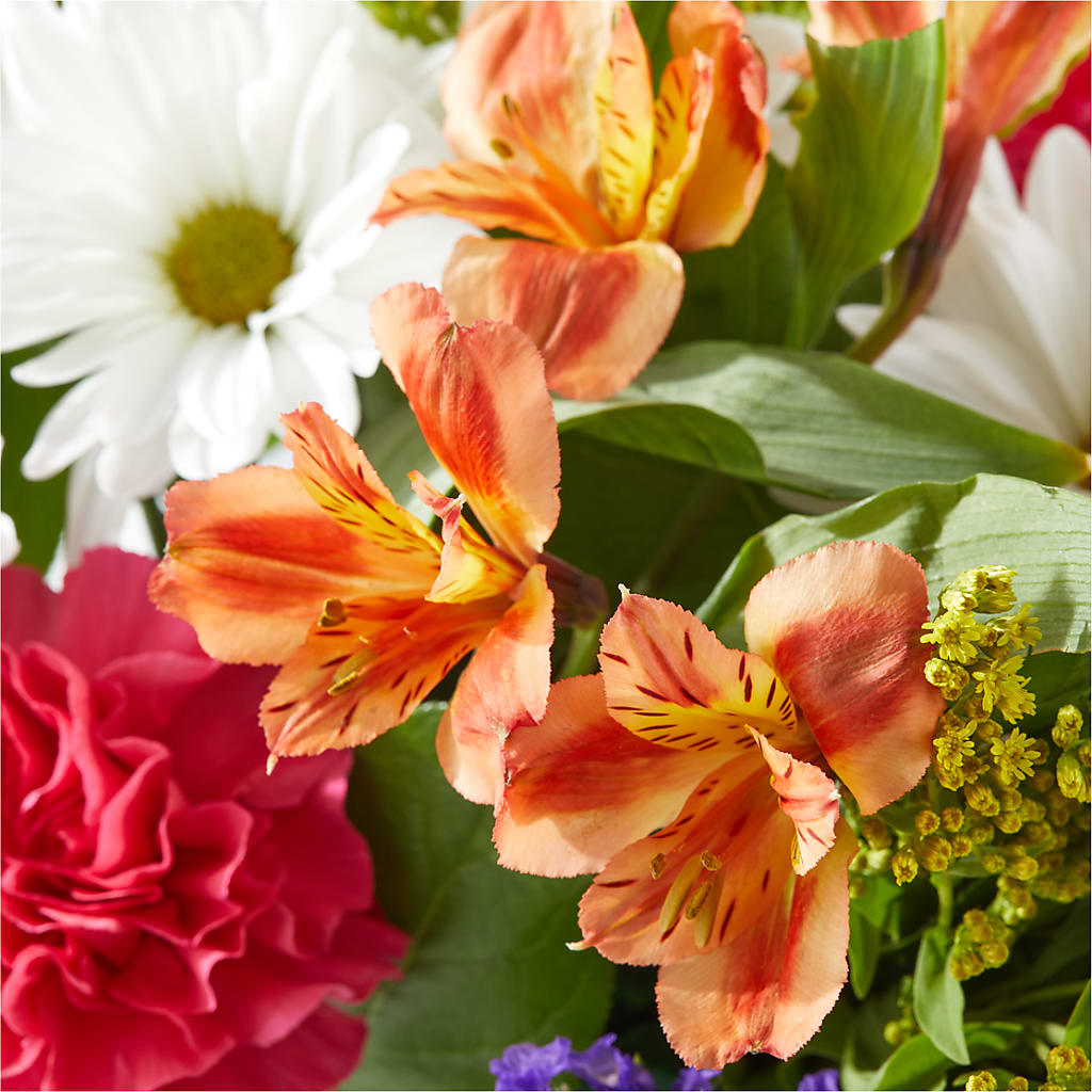 Oopsie Daisy Box Bouquet –  Attitudes-n-designs, Houma LA