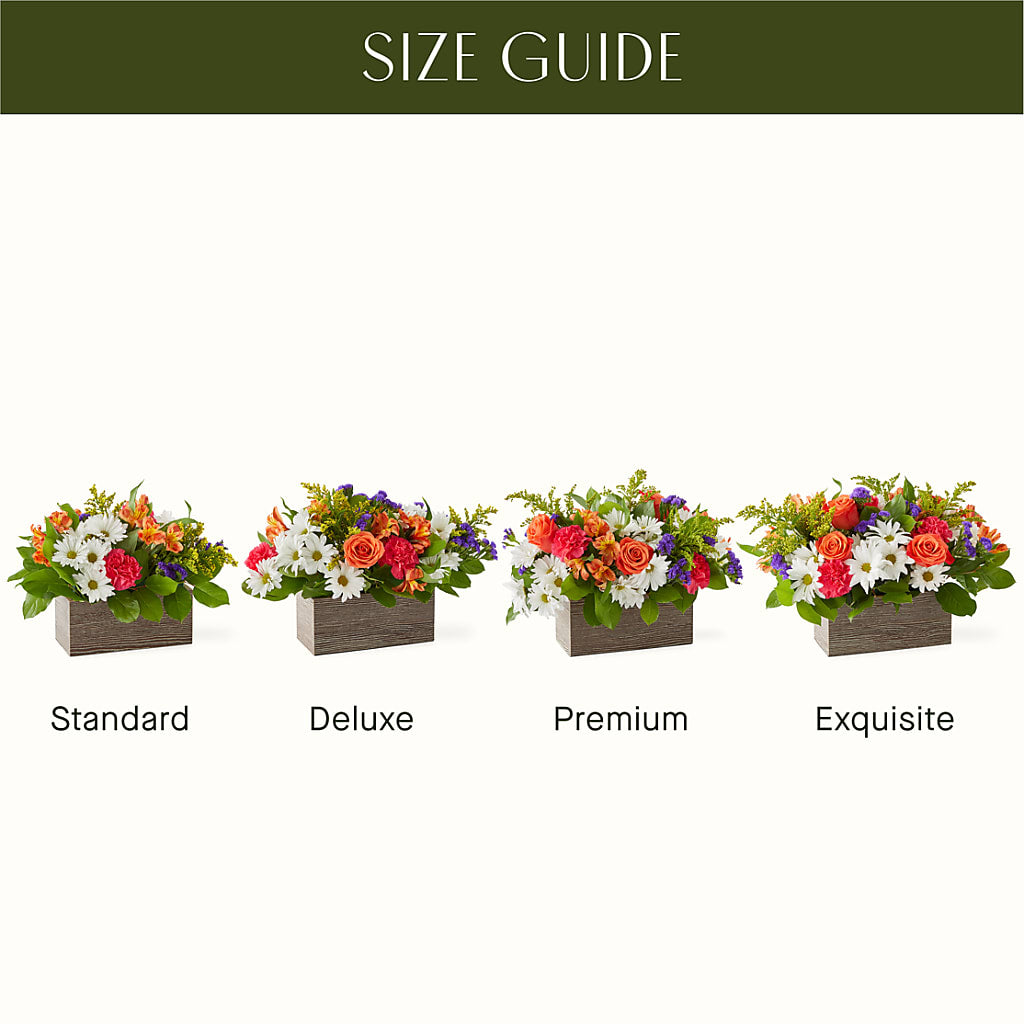 Oopsie Daisy Box Bouquet –  Attitudes-n-designs, Houma LA