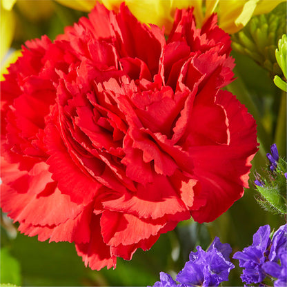 Brighter Days Bouquet –  Attitudes-n-designs, Houma LA