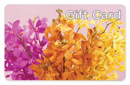 Gift Card –  Attitudes-n-designs, Houma LA