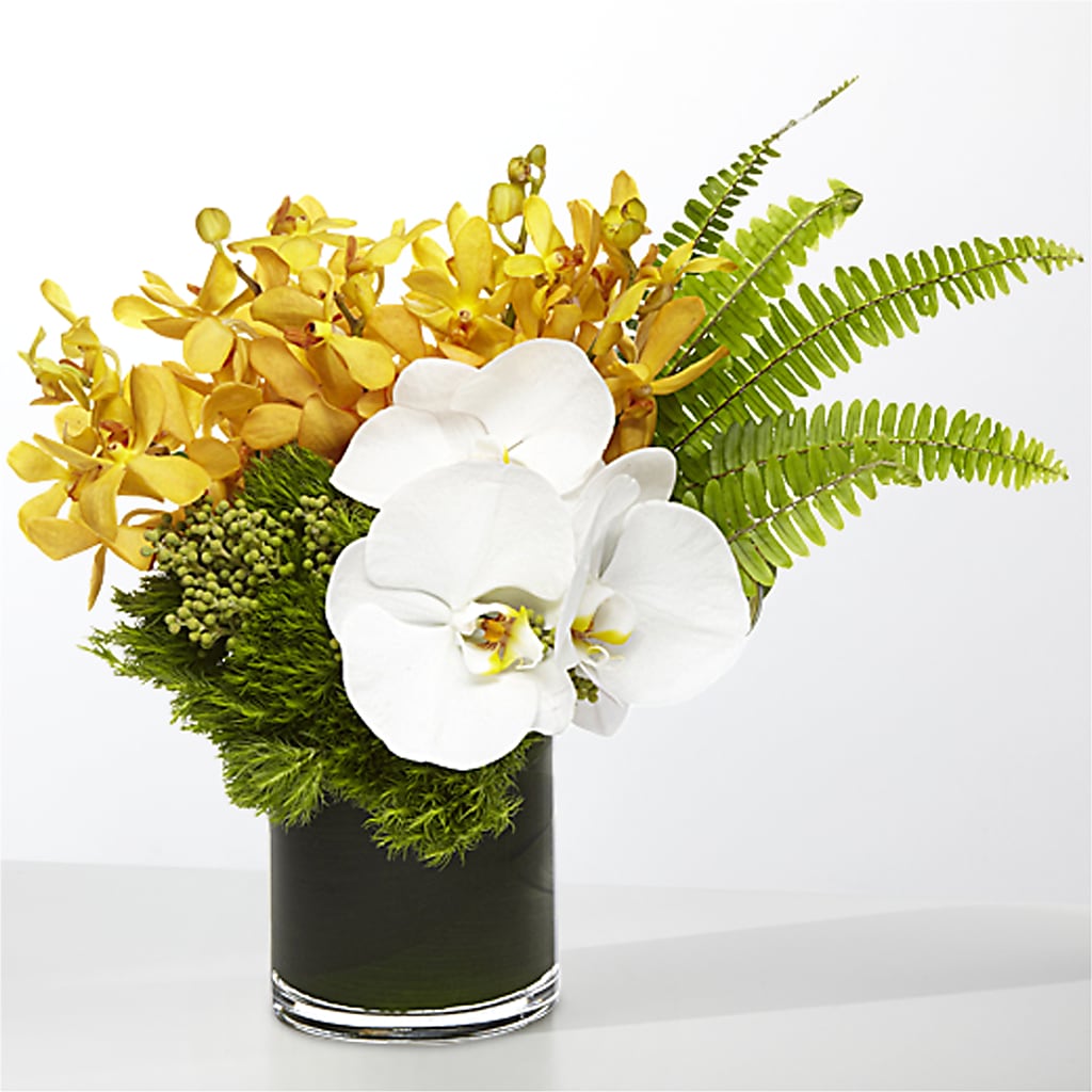 The Tropics –  Attitudes-n-designs, Houma LA