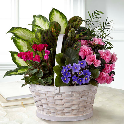 Peaceful Garden Planter –  Attitudes-n-designs, Houma LA