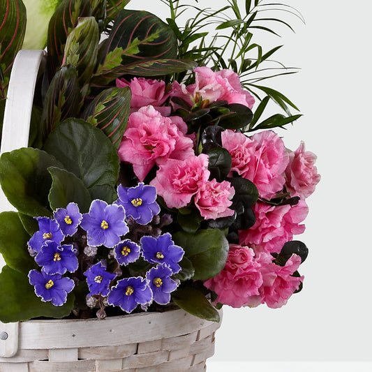 Peaceful Garden Planter –  Attitudes-n-designs, Houma LA