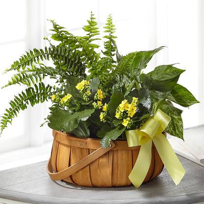 Always Dear Dishgarden –  Attitudes-n-designs, Houma LA