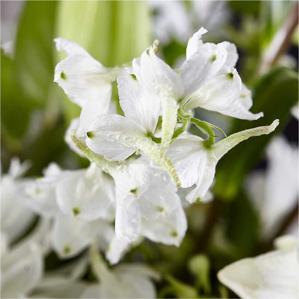 Classic Ivory – A Florist Original –  Attitudes-n-designs, Houma LA