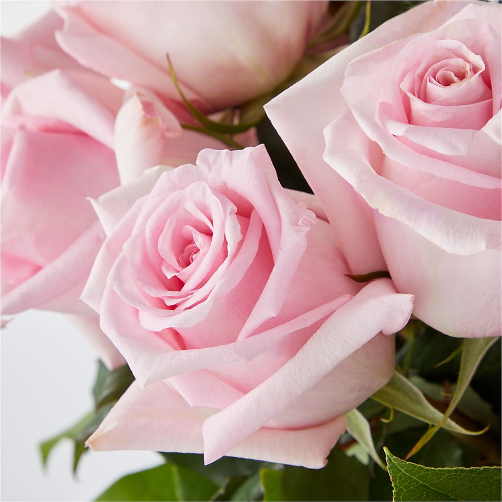 Picture Perfect Pink Rose Bouquet –  Attitudes-n-designs, Houma LA