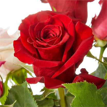 Love Notes Rose Bouquet –  Attitudes-n-designs, Houma LA