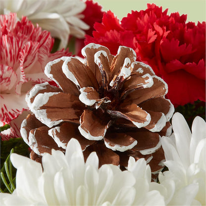 Candy Cane Lane Bouquet –  Attitudes-n-designs, Houma LA