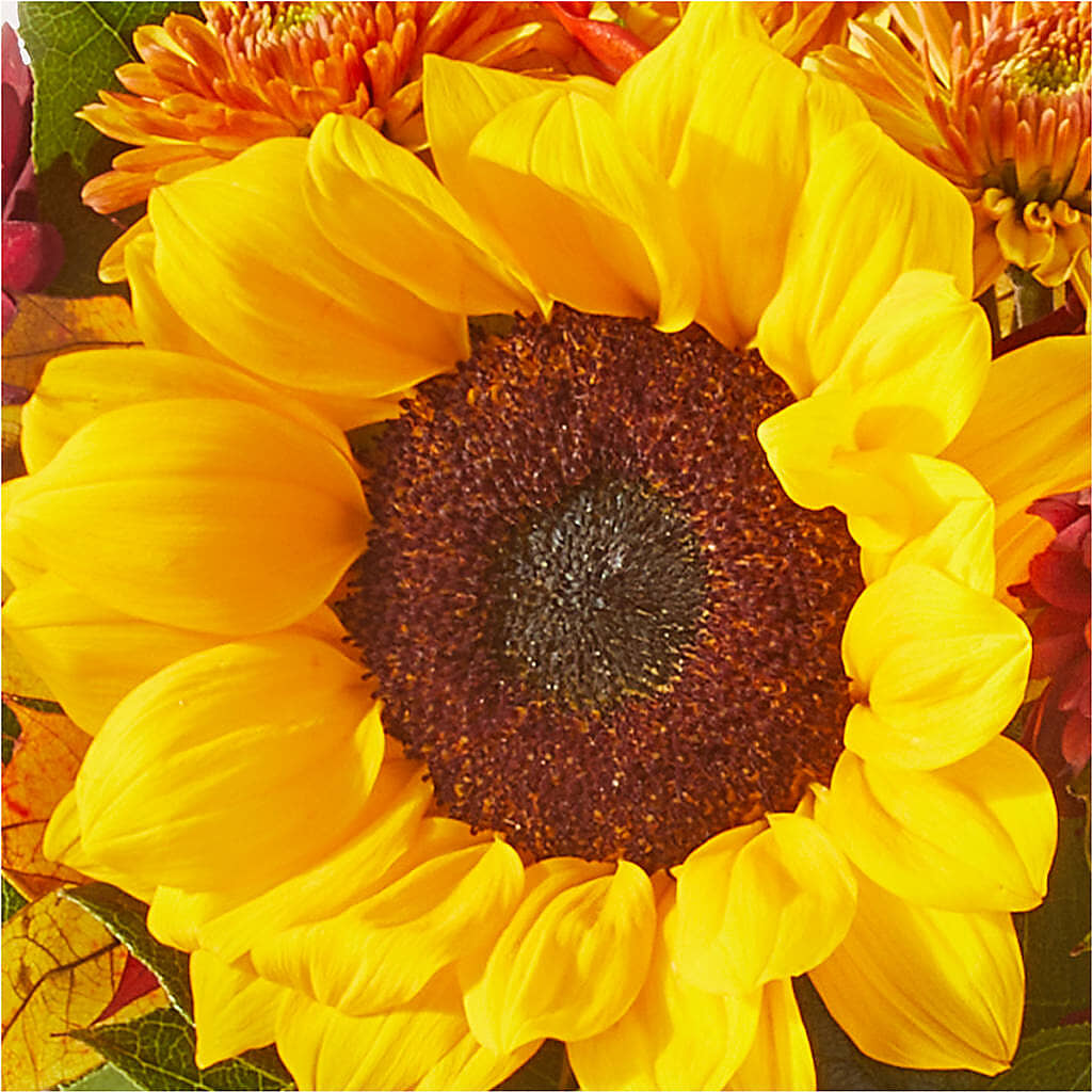Sunny Side Bouquet –  Attitudes-n-designs, Houma LA