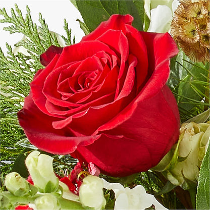 Deck the Halls Bouquet –  Attitudes-n-designs, Houma LA