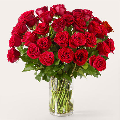 The One Red Rose Bouquet –  Attitudes-n-designs, Houma LA
