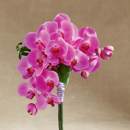 Glorious Bouquet –  Attitudes-n-designs, Houma LA
