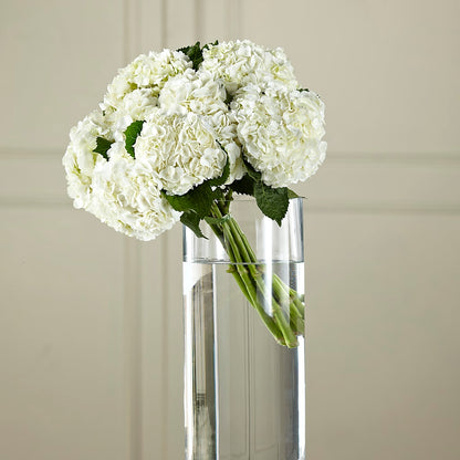 White Hydrangea Hand-Tied Bouquet –  Attitudes-n-designs, Houma LA