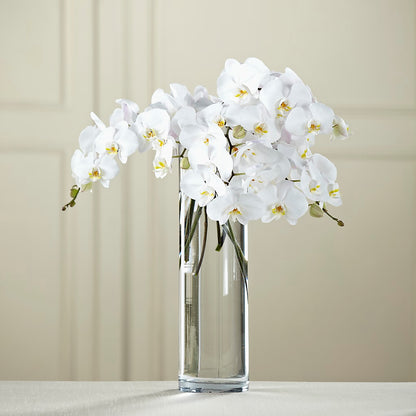 White Phalaenopsis Bouquet –  Attitudes-n-designs, Houma LA